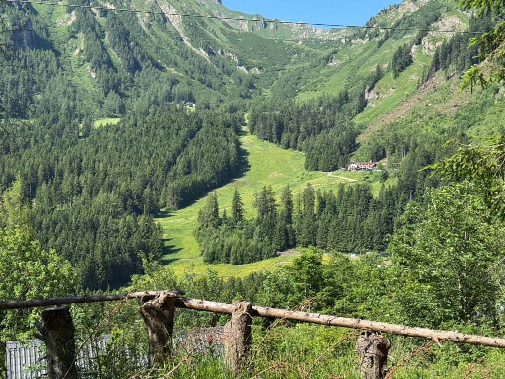 WhatsApp Image 2026-04-04 at 08.30.34 (1)